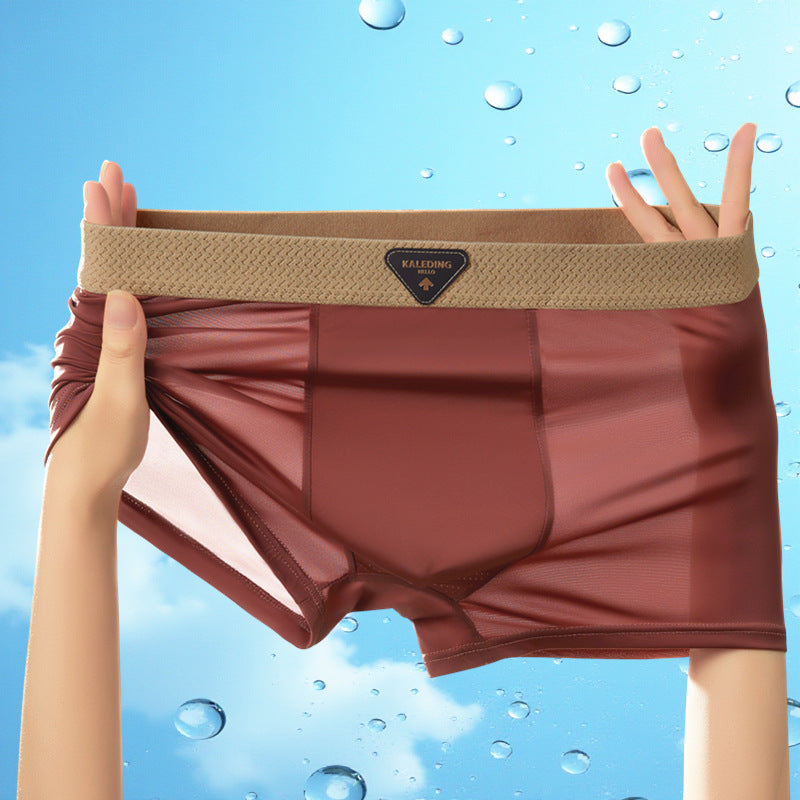 Sfrcord® Ice silk Men's-Underwear
