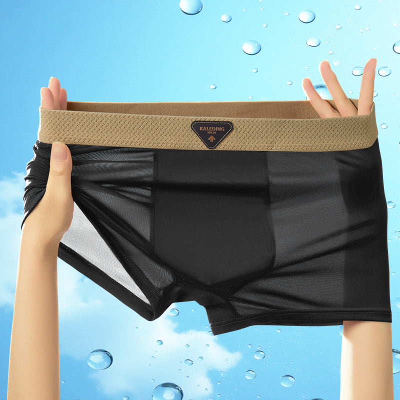 Sfrcord® Ice silk Men's-Underwear