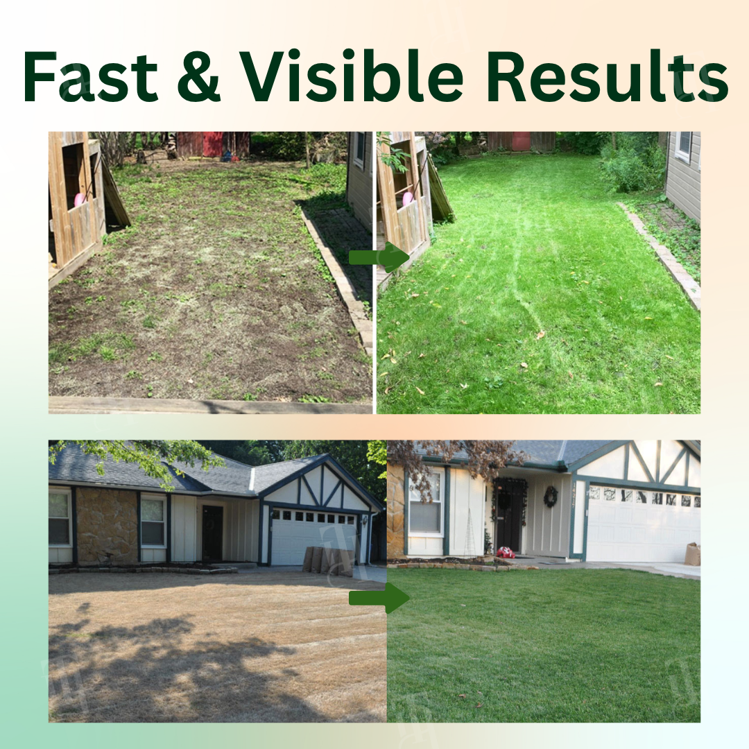 🌟 Official Store |🔥Hot Sale - 50% OFF🌿Oveallgo® 2 in 1 Max Power Herbicide